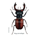 Nagy szarvasbogár - Gyerek póló | Stag Beetle - Kids T-Shirt