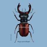 Nagy szarvasbogár - Gyerek póló | Stag Beetle - Kids T-Shirt