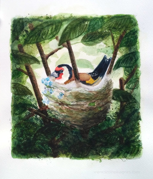 A tengelic kiskertje, akvarell | The Garden of a Goldfinch, watercolor