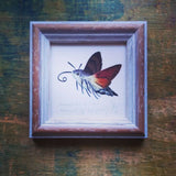 Kacsafarkú szender, keretezett mininyomat | Hummingbird Hawk-moth, Framed Mini Giclée Art Print