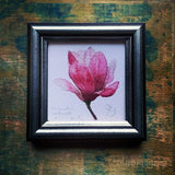 Magnolia, keretezett mininyomat | Magnolia, Framed Mini Giclée Art Print