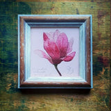 Magnolia, keretezett mininyomat | Magnolia, Framed Mini Giclée Art Print
