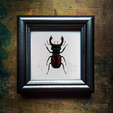 Nagy szarvasbogár, keretezett mininyomat | Stagbeetle, Framed Mini Giclée Art Print