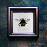 Poszméh, keretezett mininyomat | Bumblebee, Framed Mini Giclée Art Print