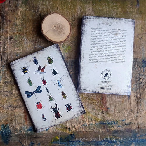 Természetbúvár füzet - rovarok  |  Nature lover's notepad - Insects
