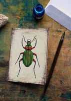 Aranyos futrinka - üdvözlőlap | Golden Grounded Beetle - Greeting Card