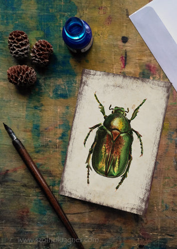 Aranyos rózsabogár - üdvözlőlap | Green rose chafer - Greeting Card