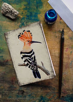 Búbos banka - üdvözlőlap | Hoopoe - Greeting Card