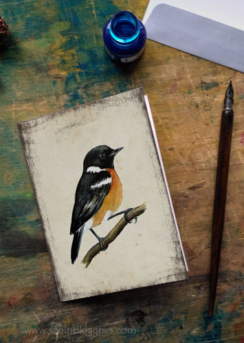 Cigánycsuk - üdvözlőlap | Stonechat - Greeting Card