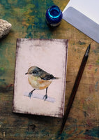 Csilpcsalpfüzike - üdvözlőlap | Chiffchaff - Greeting Card