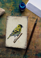 Csíz - üdvözlőlap | Siskin - Greeting Card