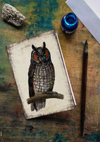 Erdei fülesbagoly - üdvözlőlap | Long-eared owl - Greeting Card