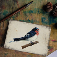 Füsti fecske - üdvözlőlap | Barn swallow - Greeting Card