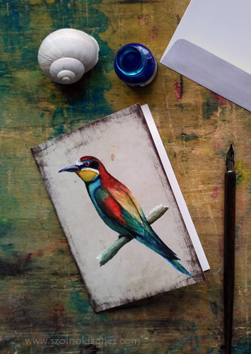 Gyurgyalag - üdvözlőlap | Bee-eater - Greeting Card