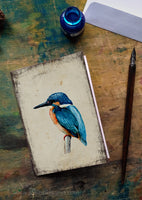 Jégmadár - üdvözlőlap | Kingfisher - Greeting Card