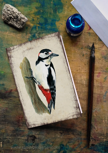 Nagy fakopáncs - üdvözlőlap | Great-spotted woodpecker - Greeting Card