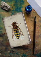 Zengőlégy - üdvözlőlap | Flower Fly - Greeting Card