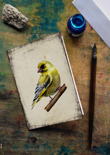 Zöldike - üdvözlőlap | Green finch - Greeting Card