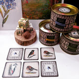 Madaras memória játék 2. sorozat | Memory game with birds, 2nd series