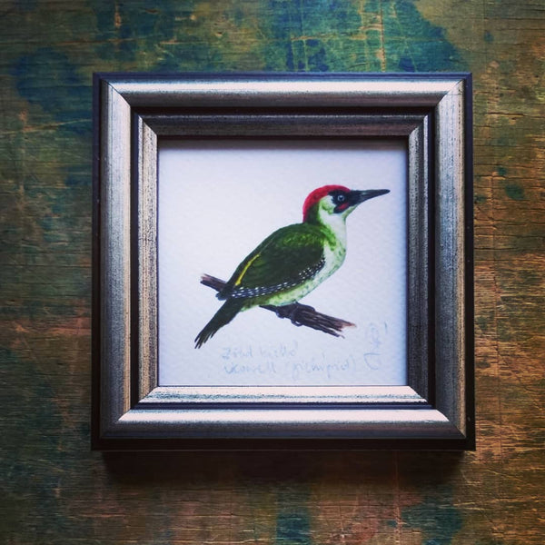 Zöld küllő, keretezett mininyomat | Green Woodpecker, Framed Mini Giclée Art Print