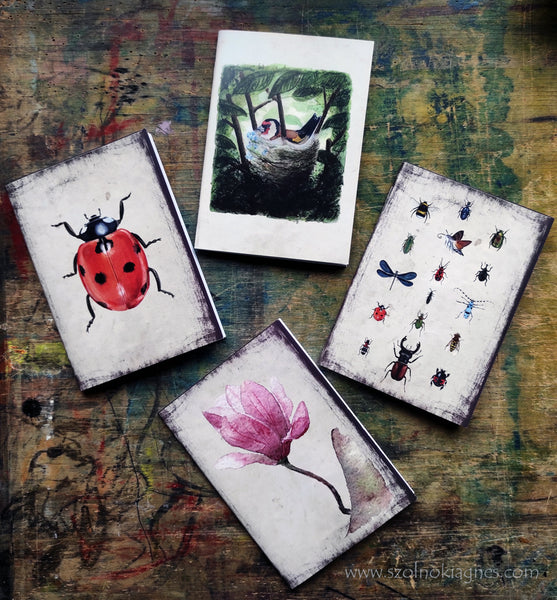 Négy füzet egy csomagban - Természetbúvár | Four Notepads in a Package - Naturalist
