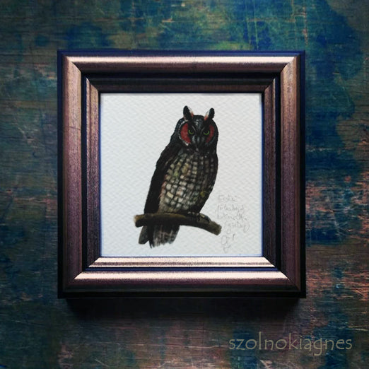 Erdei fülesbagoly, keretezett mininyomat | Long-eared Owl, Framed Mini Giclée Art Print