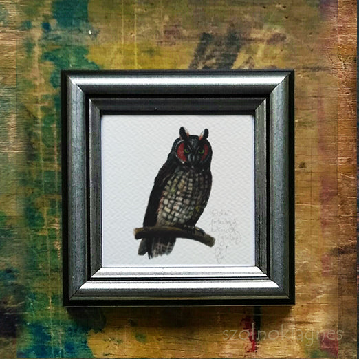 Erdei fülesbagoly, keretezett mininyomat | Long-eared Owl, Framed Mini Giclée Art Print