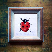 Hétpettyes katicabogár, keretezett mininyomat | Seven-spot Ladybird, Framed Mini Giclée Art Print
