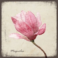 Szolnoki Ágnes - Magnolia mágnes