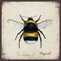 Poszméh - mágnes | Bumblebee - magnet