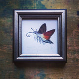 Kacsafarkú szender, keretezett mininyomat | Hummingbird Hawk-moth, Framed Mini Giclée Art Print