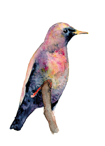 Képzelt madár I., akvarell | Imaginary Bird I., watercolor