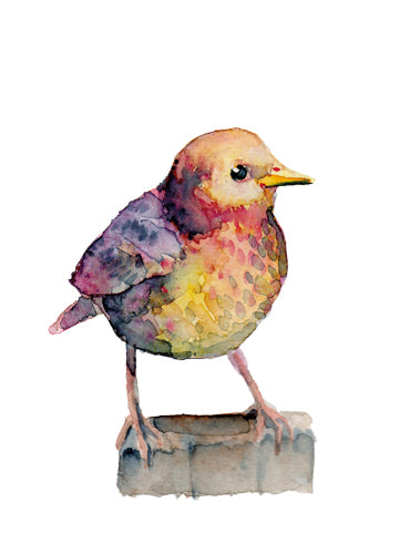 Képzelt madár II., akvarell | Imaginary Bird II., watercolor