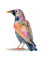 Képzelt madár III., akvarell | Imaginary Bird III., watercolor