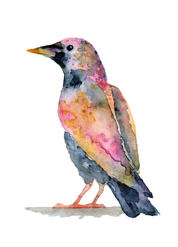 Képzelt madár III., akvarell | Imaginary Bird III., watercolor