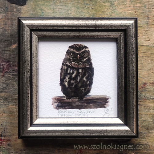 Kuvik, keretezett mininyomat | Little Owl, Framed Mini Giclée Art Print