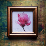 Magnolia, keretezett mininyomat | Magnolia, Framed Mini Giclée Art Print