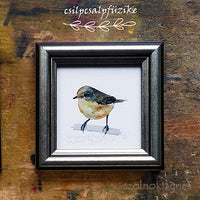 Csilpcsalpfüzike, keretezett mininyomat | Chiffchaff, Framed Mini Giclée Art Print