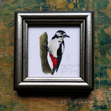 Nagy fakopáncs, keretezett mininyomat | Great-spotted woodpecker, Framed Mini Giclée Art Print
