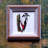 Nagy fakopáncs, keretezett mininyomat | Great-spotted woodpecker, Framed Mini Giclée Art Print