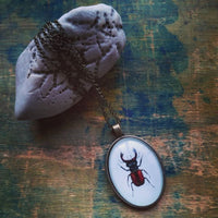 Nagy szarvasbogár, nyaklánc | Stag Beetle, Necklace