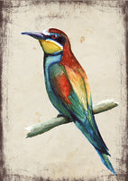 Gyurgyalag - üdvözlőlap | Bee-eater - Greeting Card