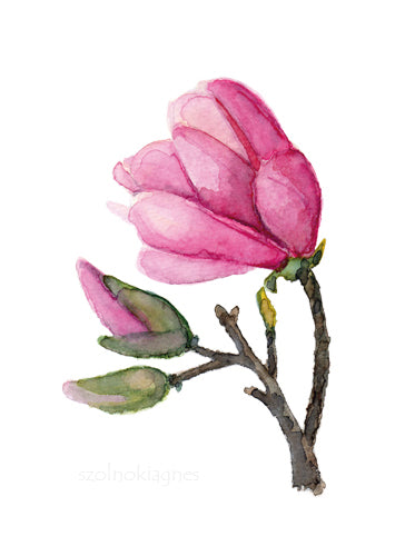 Magnolia III. - üdvözlőlap | Magnolia III. - Greeting Card
