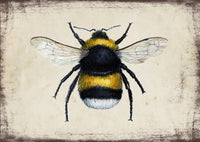 Poszméh - üdvözlőlap | Bumblebee - Greeting Card